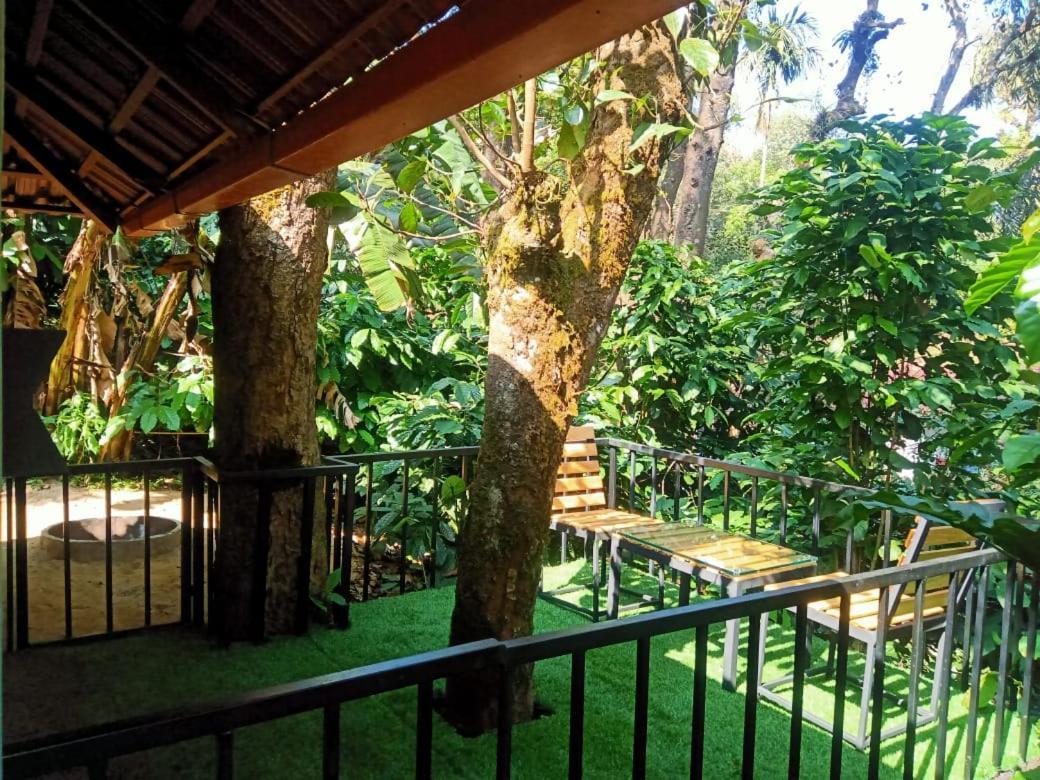 Misty Rain Estate Madikeri Exterior photo