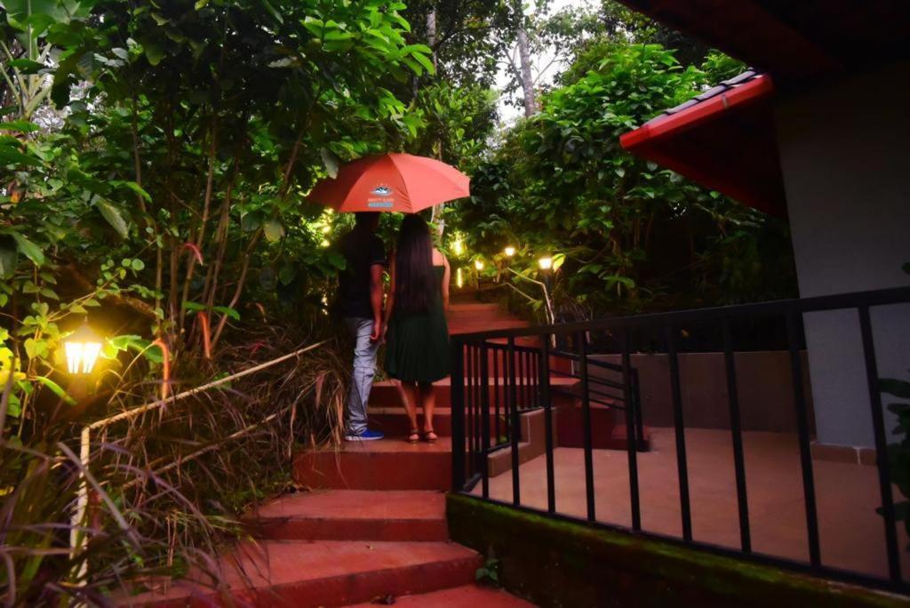 Misty Rain Estate Madikeri Exterior photo