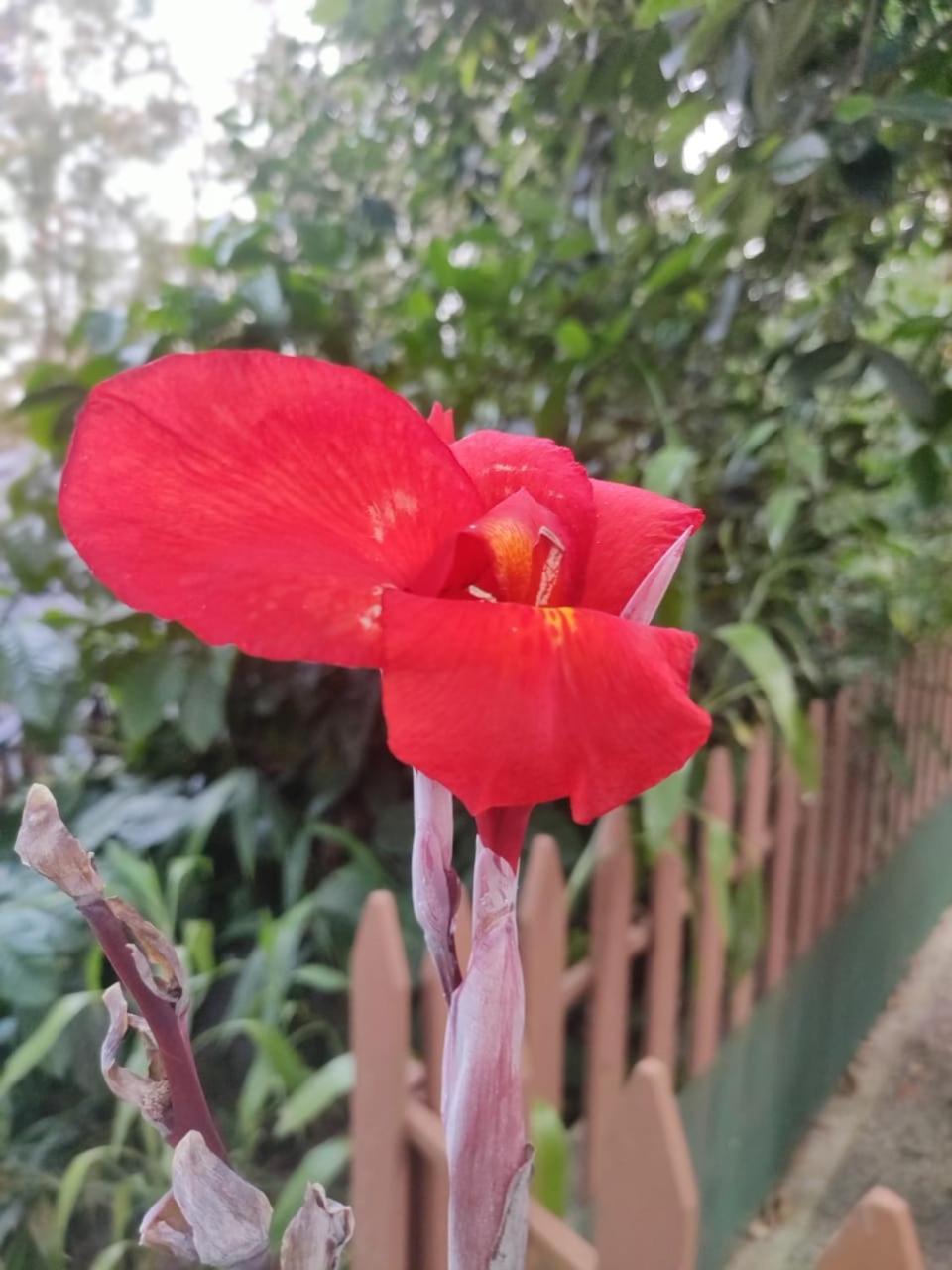 Misty Rain Estate Madikeri Exterior photo