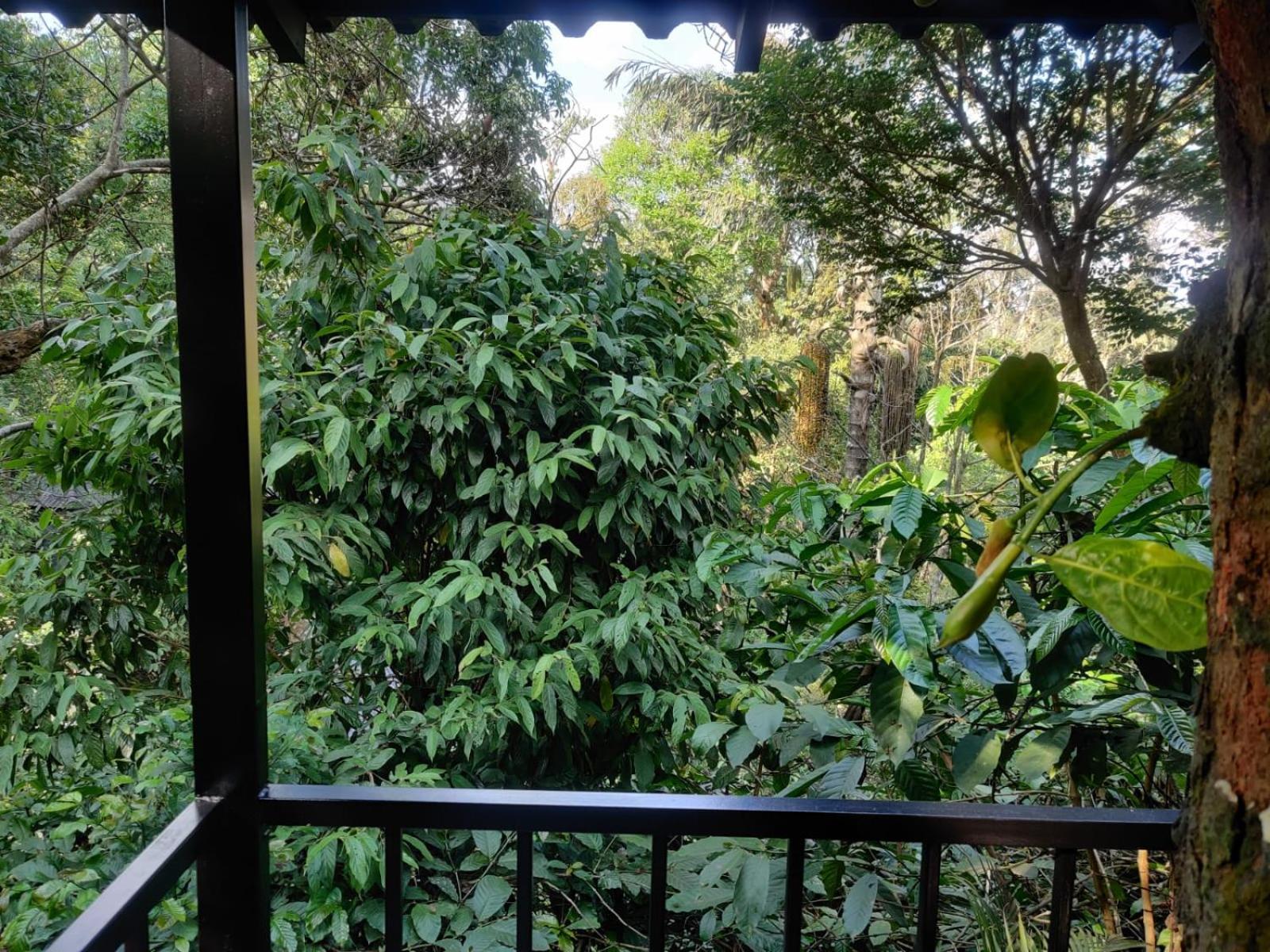 Misty Rain Estate Madikeri Exterior photo