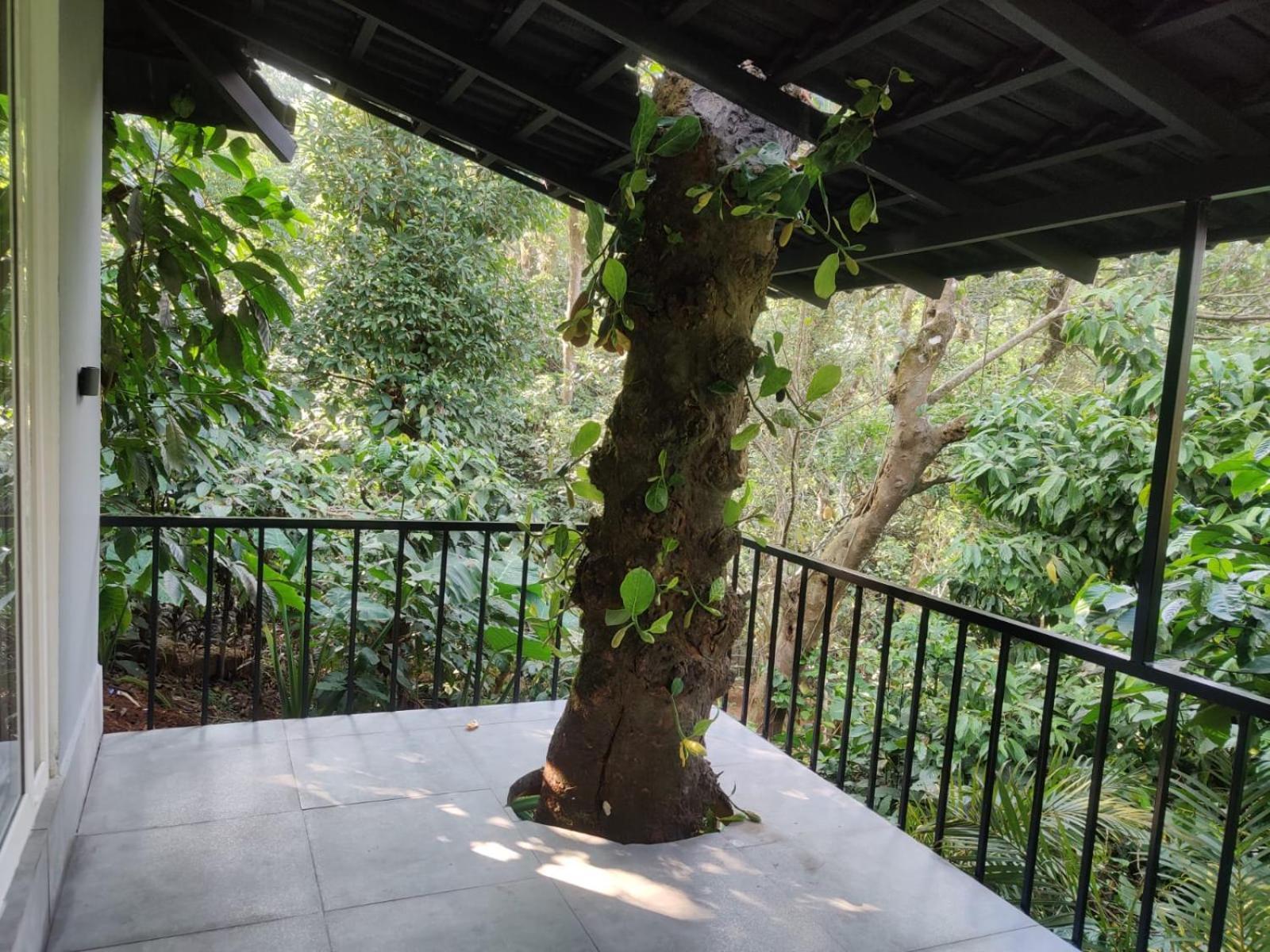 Misty Rain Estate Madikeri Exterior photo